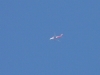 p1260554