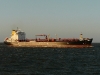 p1290588