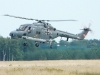 lynx_8318