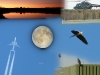 3 Tage 10 Bilder