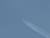 Inflight A340