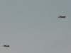 p1280479