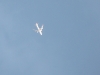 Bild 7 Inflight 747-400