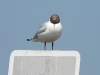 p1260148