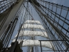 Segeltörn Bremerhaven Brigg Mercedes