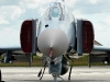 F-4F 38+42