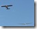 Do-27 und DG505
