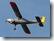 D-EGFR
