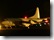 P-3C bei Nacht