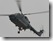 Lynx 83+02