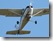 R/CESSNA F.172P SKYHAWK  D-EGNR
