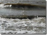 Spieka-Neufeld Sturm Wasser