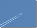 Inflight A319 TAP Air Portugal