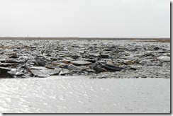 Stimmungsbild Spieka-Neufeld