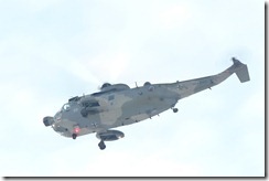 Sea King Mk.41 89+51