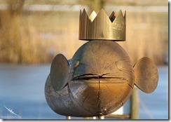 Aalkönig am Schwarzen Wehl in Dorum-Neufeld