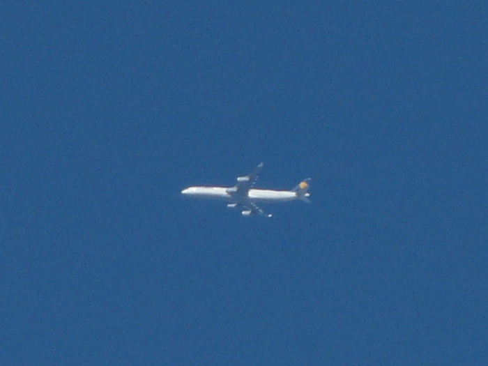 Airbus A340-600 Lufthansa