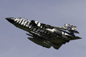 Tornado ECR "Arctic Tiger"