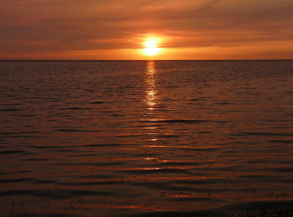 Sonnenuntergang Spieka Neufeld Hafen