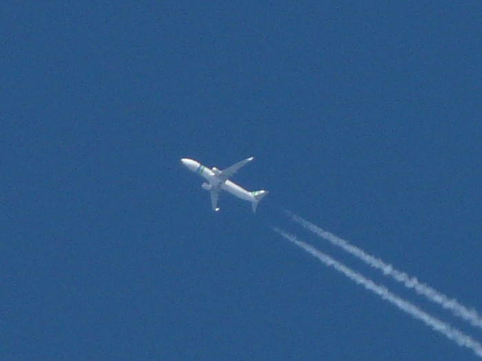 Boeing 737-800 Transavia