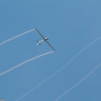 MDM MDM-1 Fox